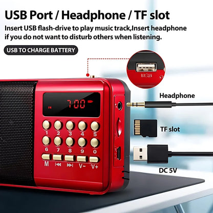 Portable Radio