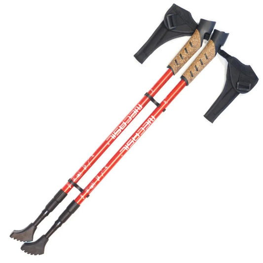 2 Piece Hiking Sticks